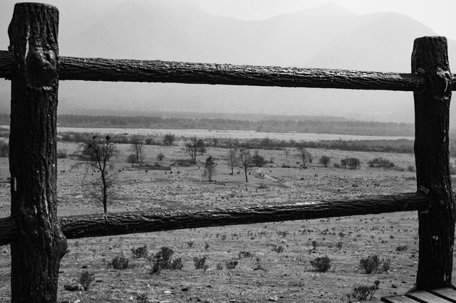 white-black-black-and-white-water-monochrome-photography picture material