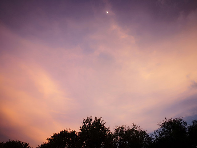 sunset-sun-sky-dawn-landscape 图片素材