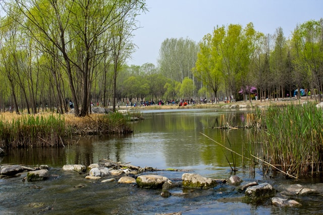 landscape 图片素材