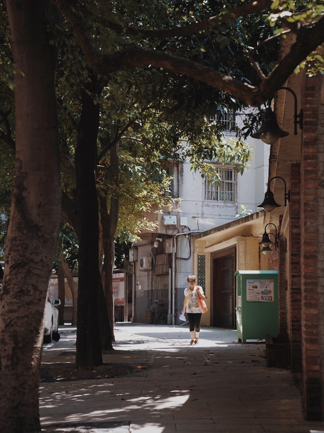 portrait-tree-town-street-neighbourhood picture material