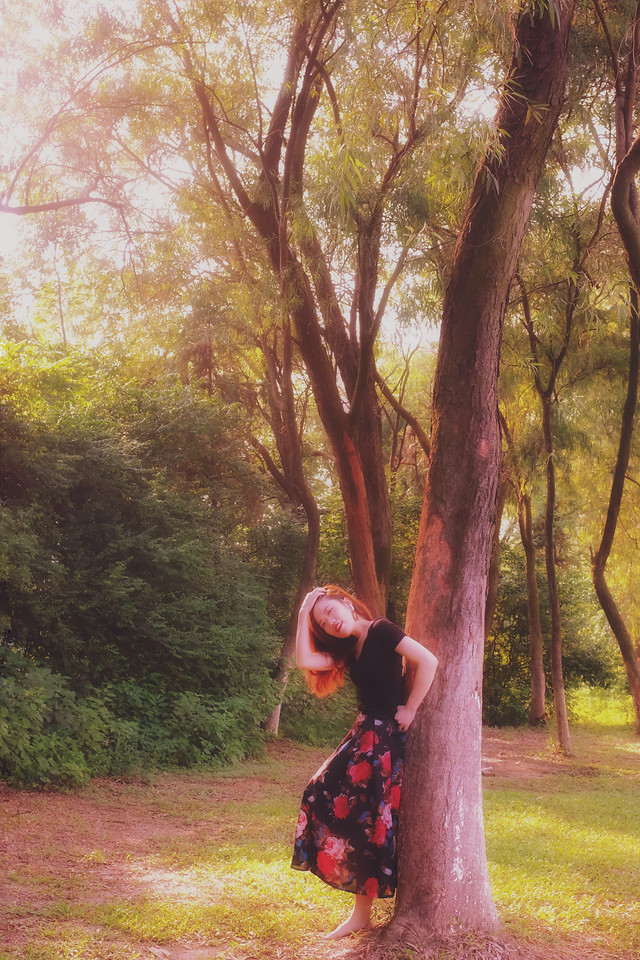 tree-wood-nature-girl-park picture material