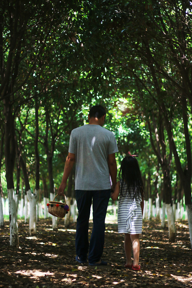 tree-people-green-wood-park picture material