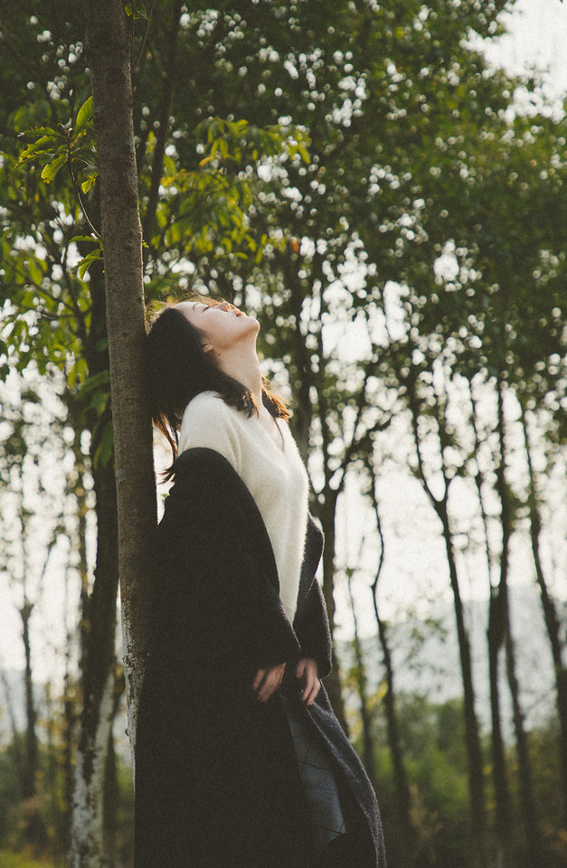 nature-tree-outdoors-photograph-wood 图片素材