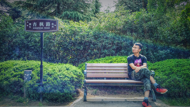 outdoors-green-nature-tree-park picture material