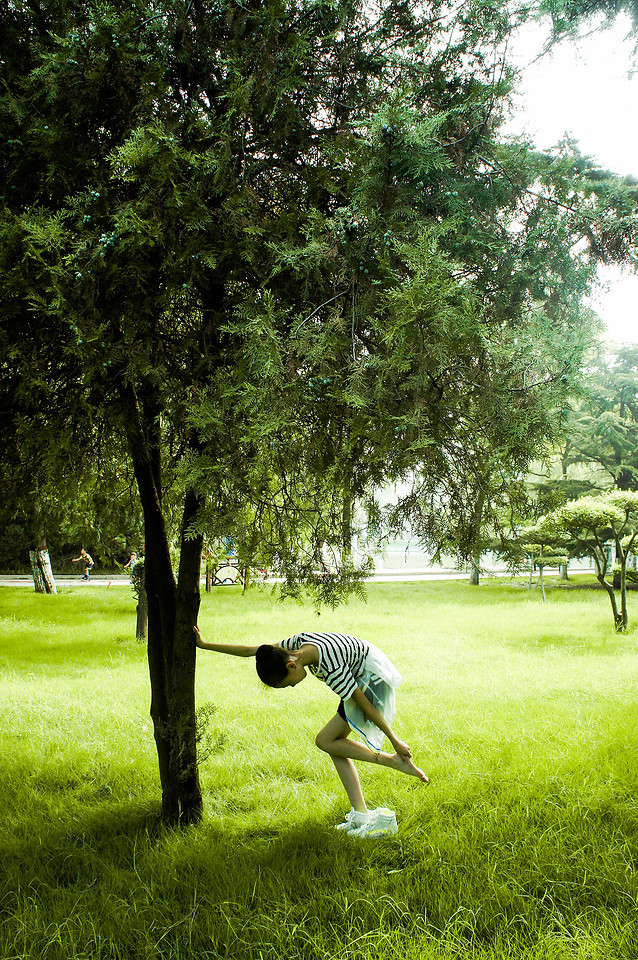 tree-grass-nature-landscape-green picture material