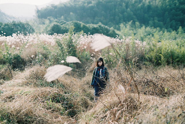 landscape-nature-cropland-outdoors-grass picture material