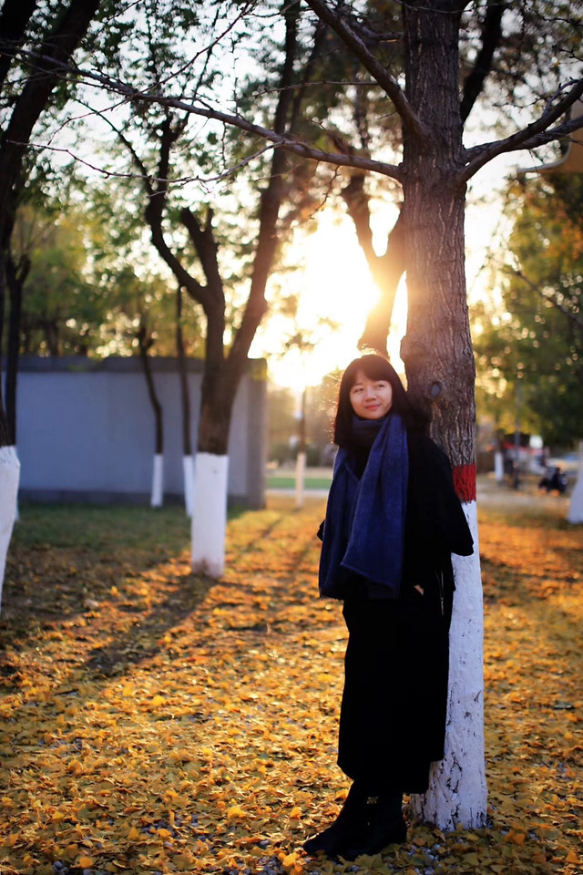 fall-people-girl-tree-woman picture material