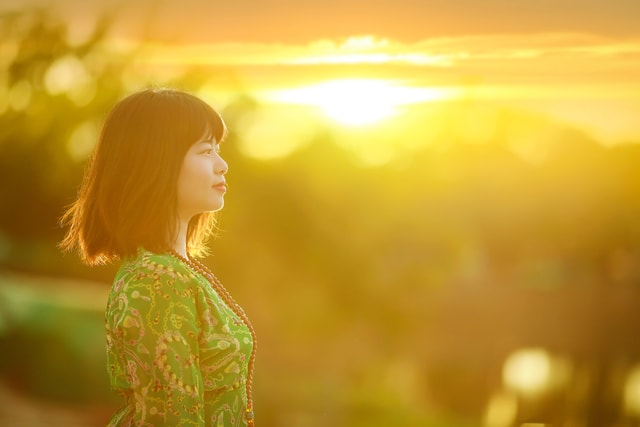 field-light-sun-grass-sky 图片素材