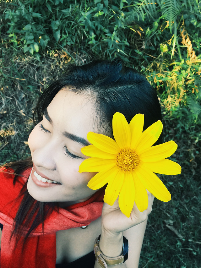 nature-beautiful-flower-summer-yellow 图片素材