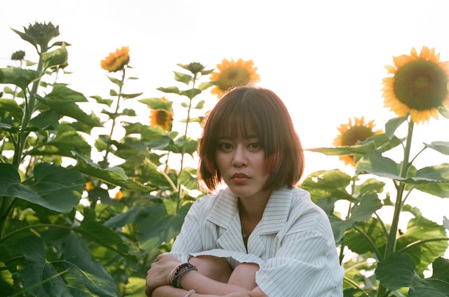 flower-summer-nature-outdoors-plant 图片素材