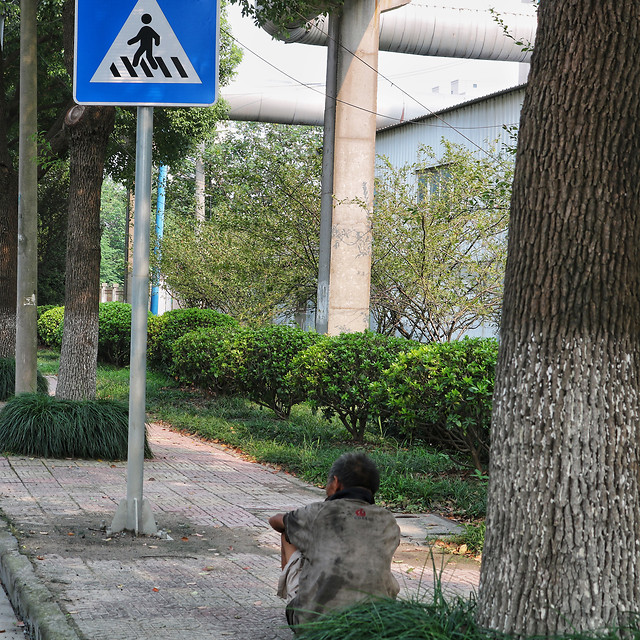 tree-grass-road-people-no-person picture material