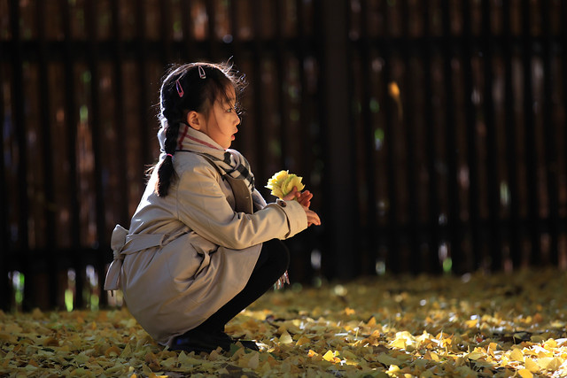 girl-fall-people-park-woman picture material