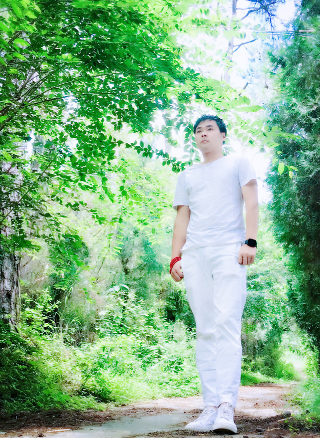 nature-summer-park-outdoors-green picture material