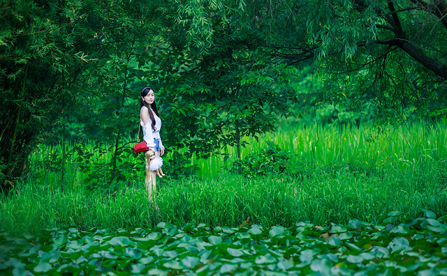 nature-grass-wood-landscape-leaf picture material