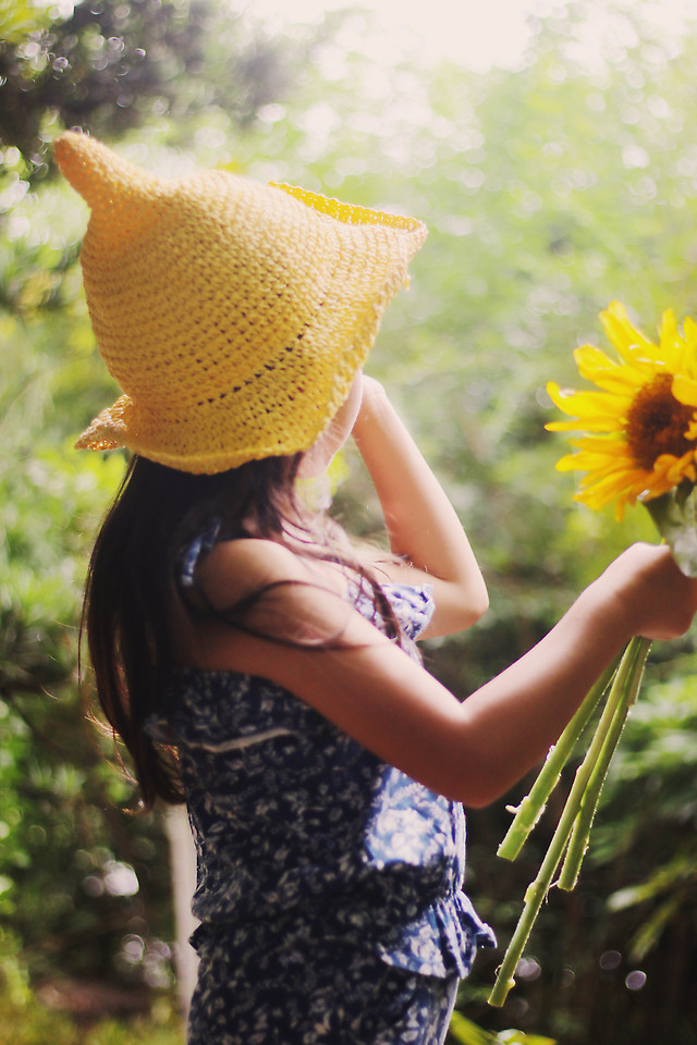 outdoors-nature-summer-flower-yellow 图片素材