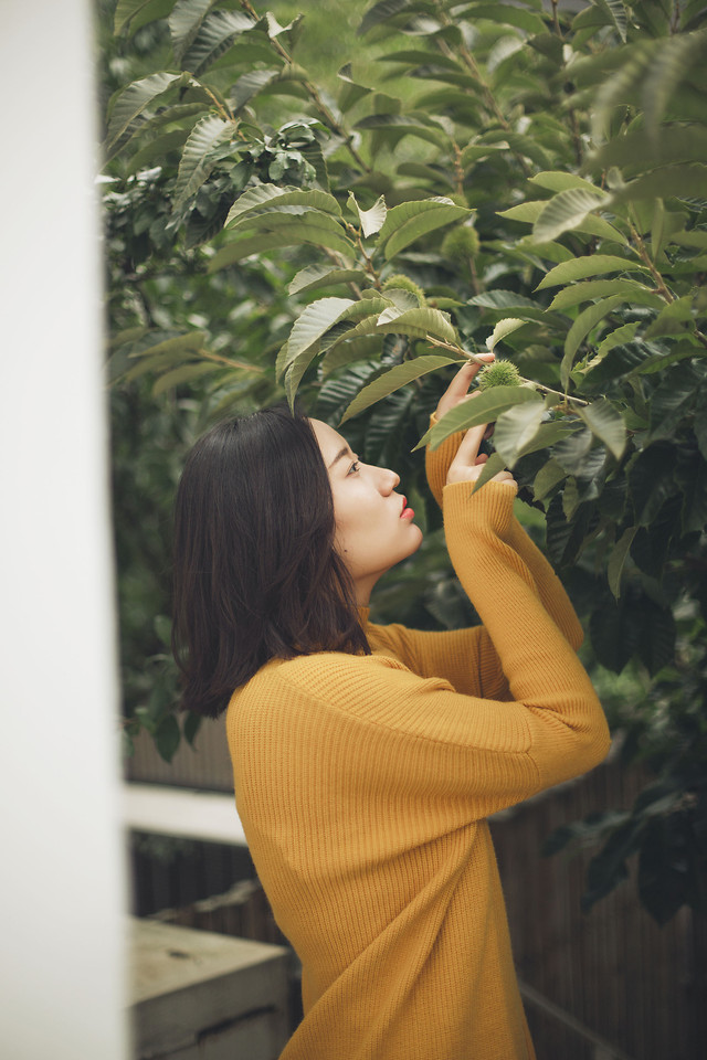 people-girl-woman-nature-green 图片素材
