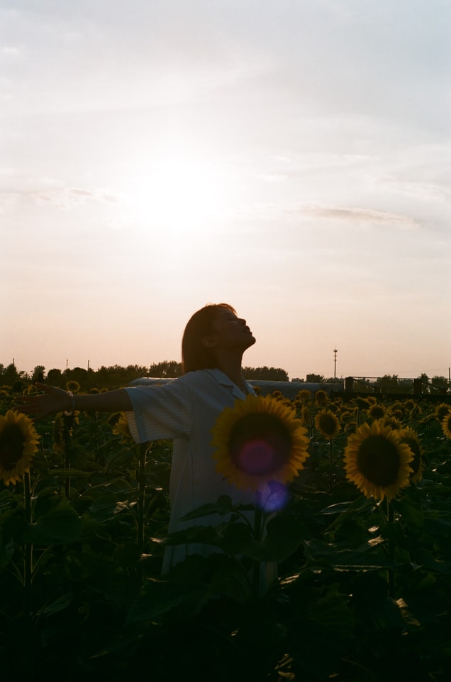 sky-flower-field-tree-landscape picture material