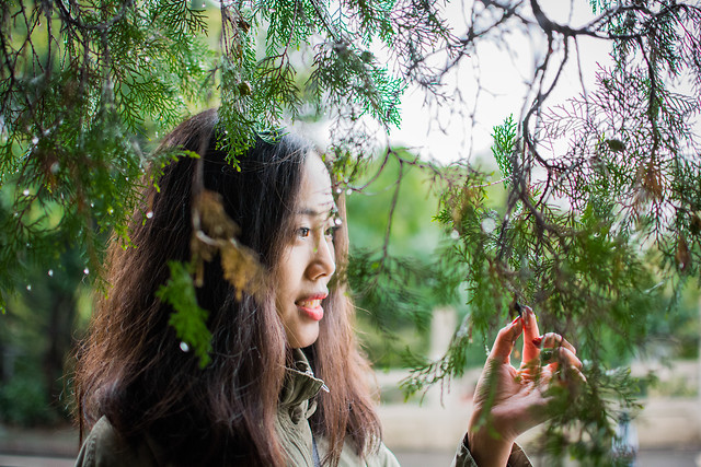 nature-tree-girl-summer-beautiful picture material