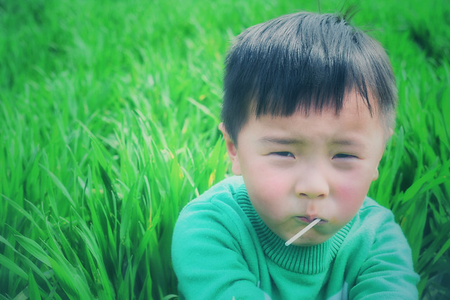 child-grass-nature-green-summer picture material