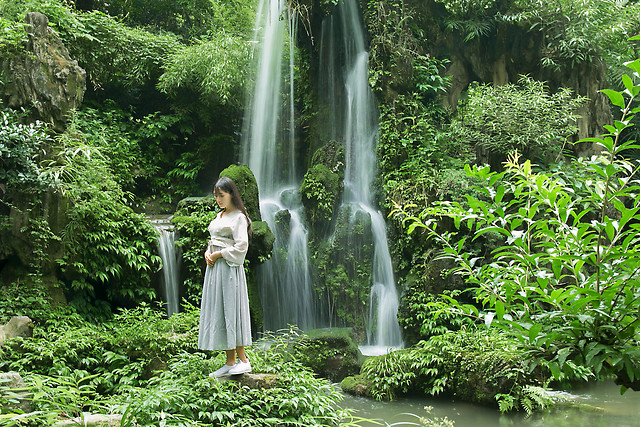 nature-water-wood-waterfall-leaf picture material