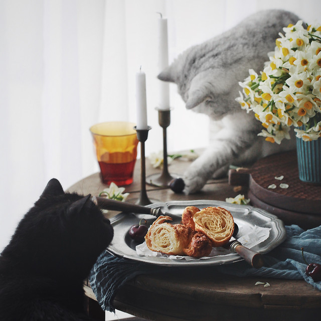 indoors-family-no-person-table-food picture material