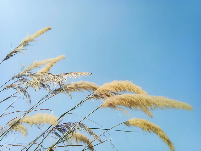 抬头看世界 图片素材