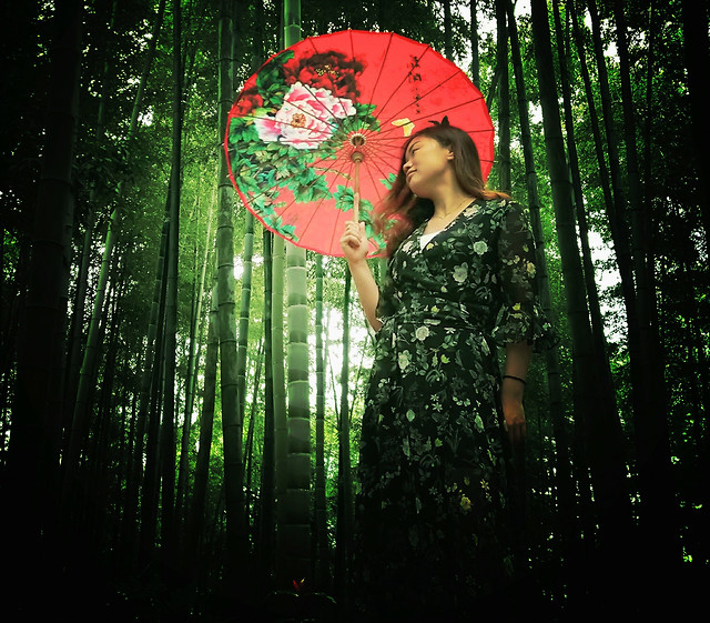 umbrella-wood-leaf-rain-green 图片素材
