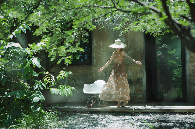 garden-wood-nature-tree-water 图片素材