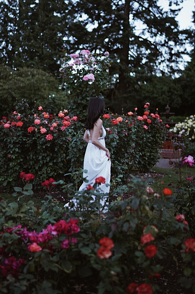 flower-people-one-plant-rose 图片素材