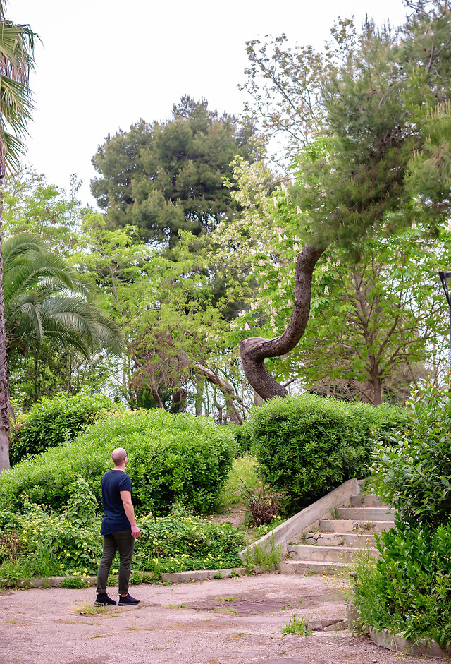 tree-park-nature-garden-guidance 图片素材