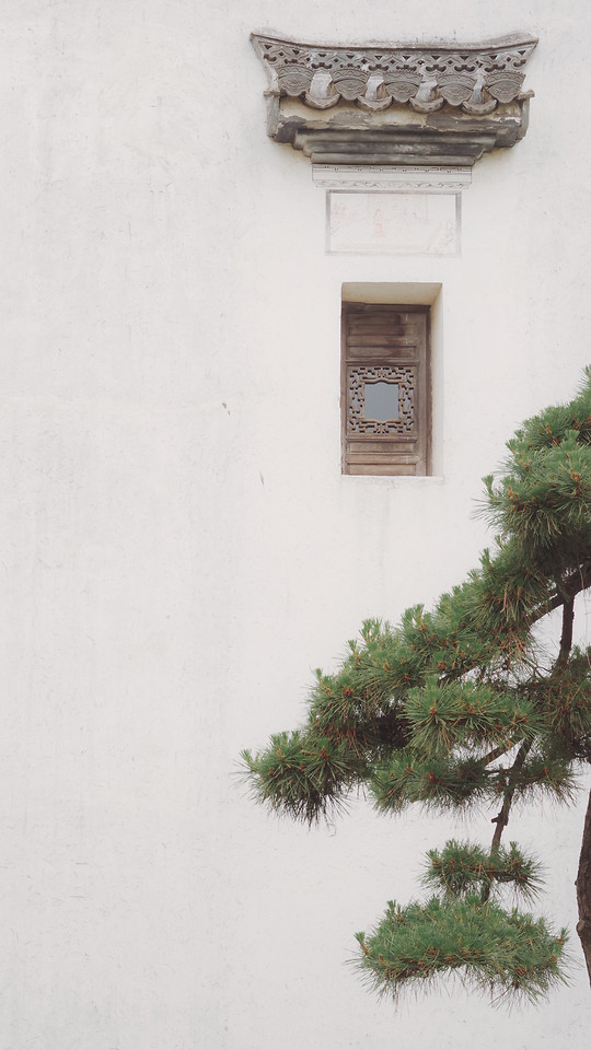 no-person-architecture-outdoors-decoration-tree 图片素材