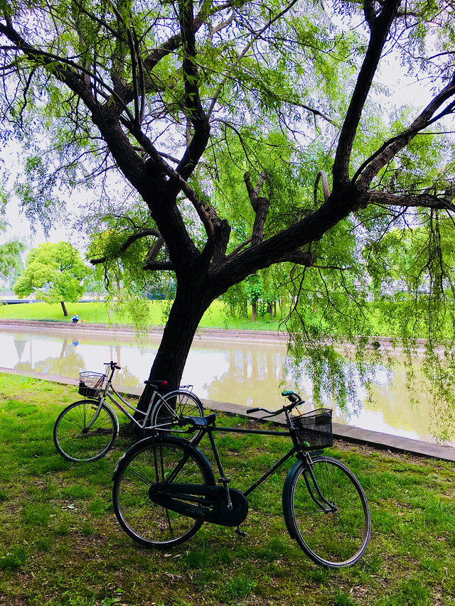 郊外游玩 图片素材