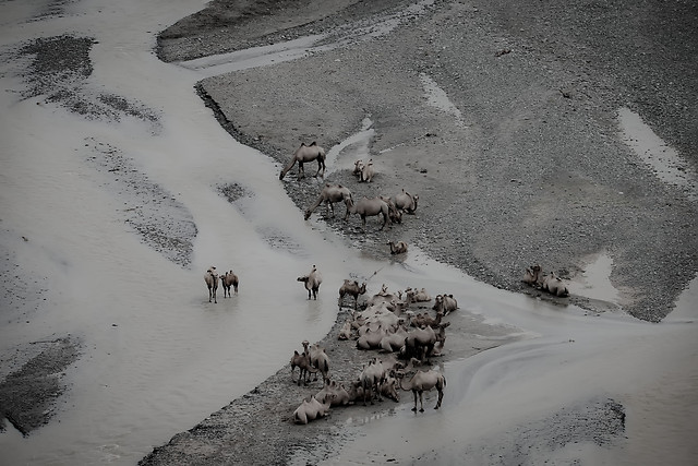 snow-no-person-winter-ice-water 图片素材