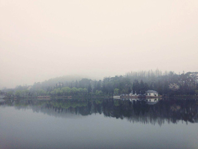 lake-reflection-river-water-tree picture material