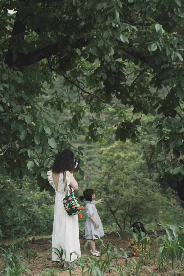 tree-people-green-nature-girl picture material