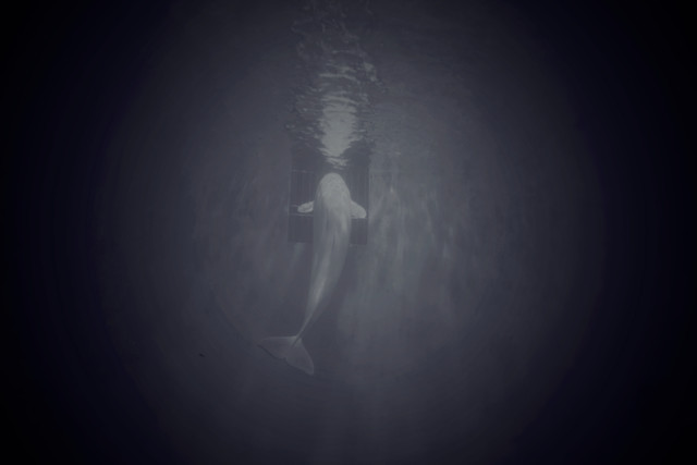 abstract-desktop-people-dark-art picture material