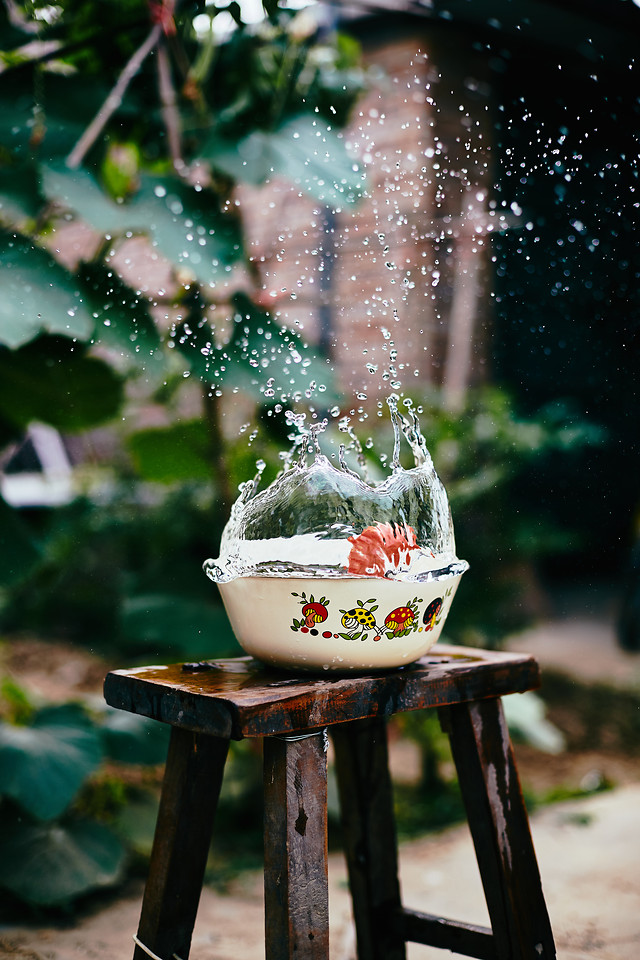 no-person-food-christmas-wood-tree 图片素材