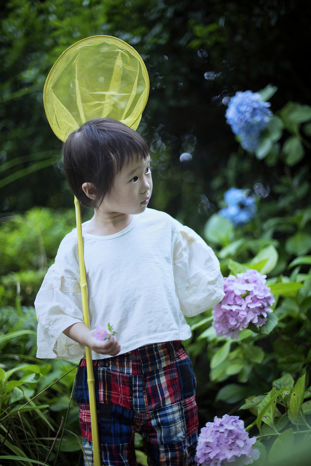 绿野仙踪夏初如画 picture material