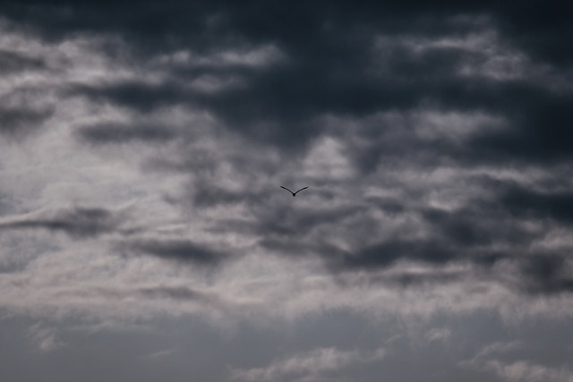 sky-storm-weather-no-person-landscape 图片素材