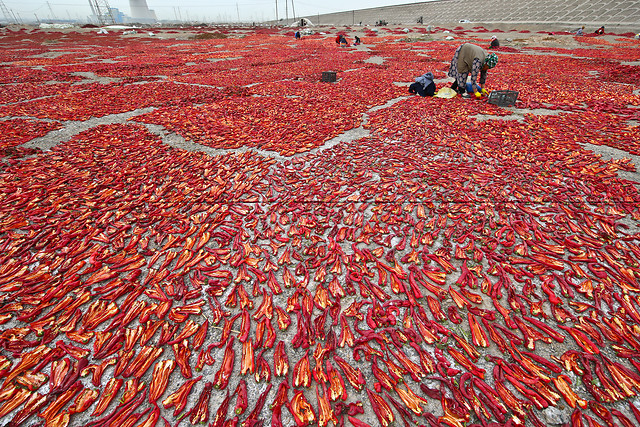 red-no-person-desktop-food-color picture material