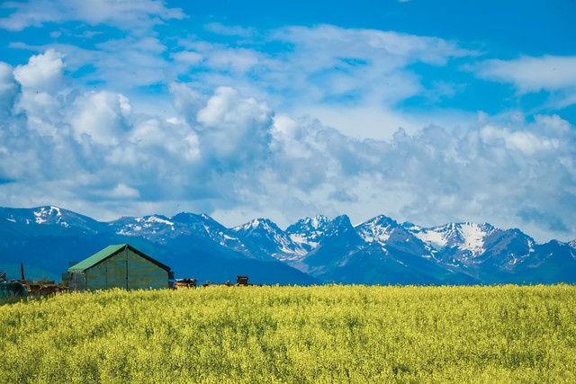 no-person-sky-nature-grassland-landscape 图片素材