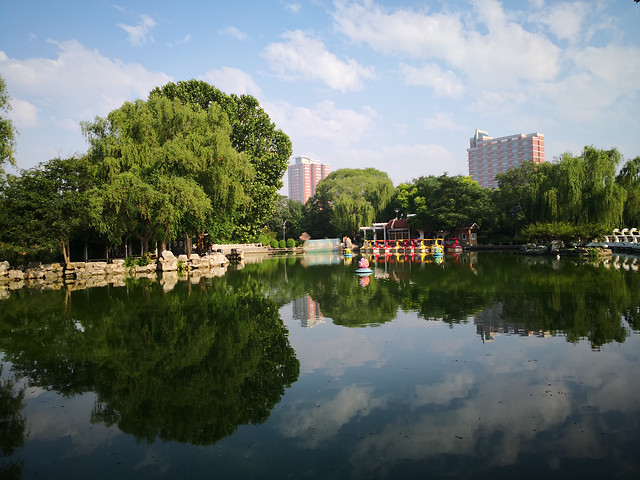 water-river-tree-reflection-lake 图片素材