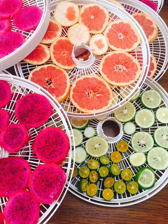 《缤纷夏日》 图片素材