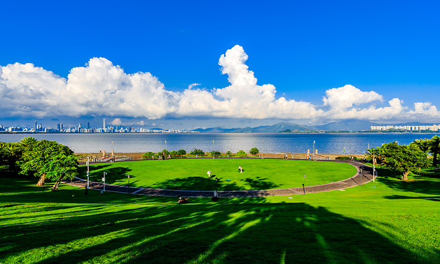 nature-summer-landscape-water-grass 图片素材