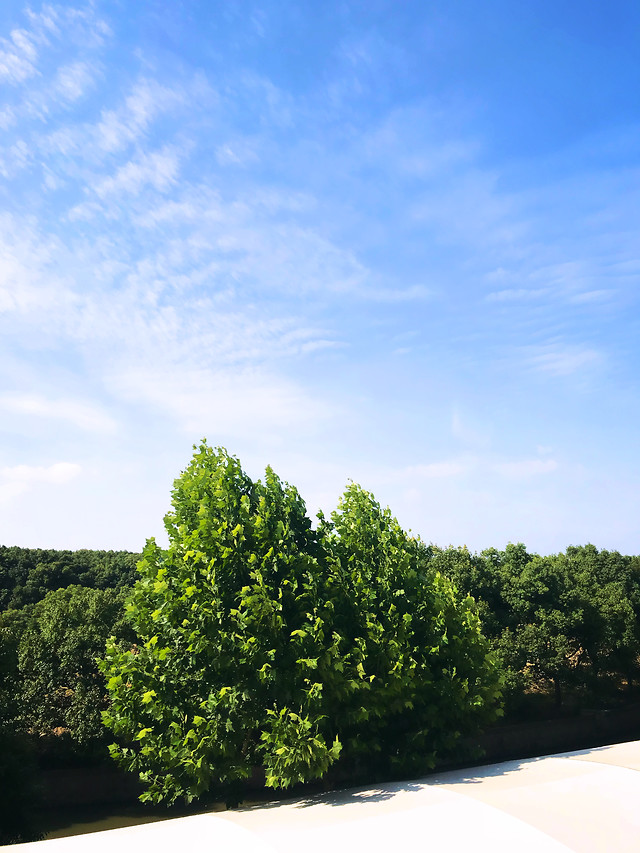 tree-landscape-sky-nature-no-person picture material