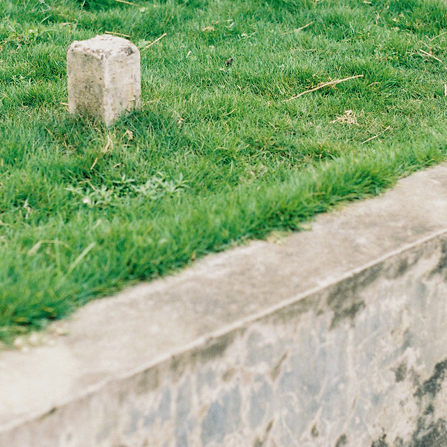 grass-stone-no-person-summer-outdoors 图片素材