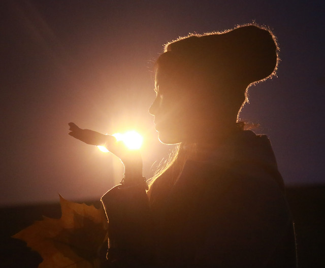sunset-sun-dawn-silhouette-light 图片素材