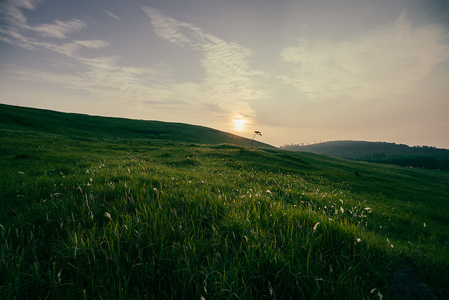 landscape-grass-sun-field-sky 图片素材