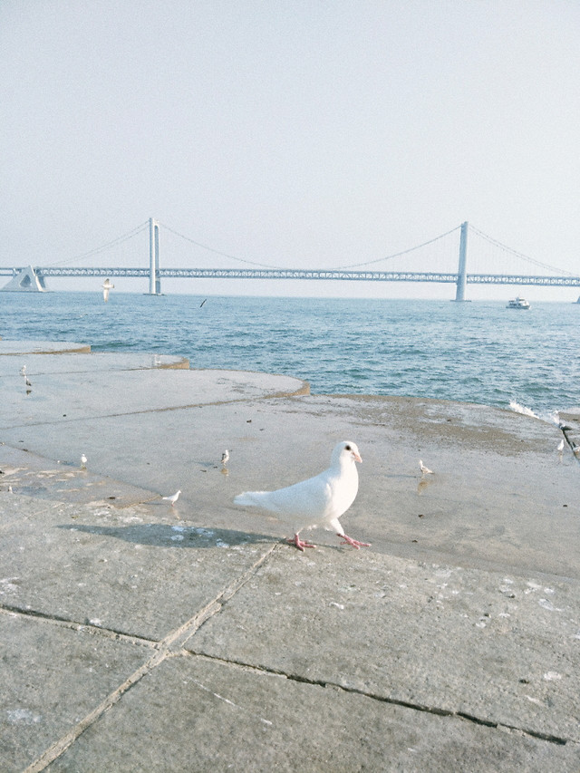 海之蓝 图片素材