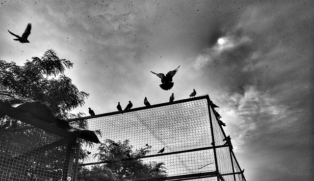 monochrome-sky-silhouette-black-and-white-cloud 图片素材